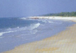 Suryalanka Beach 1